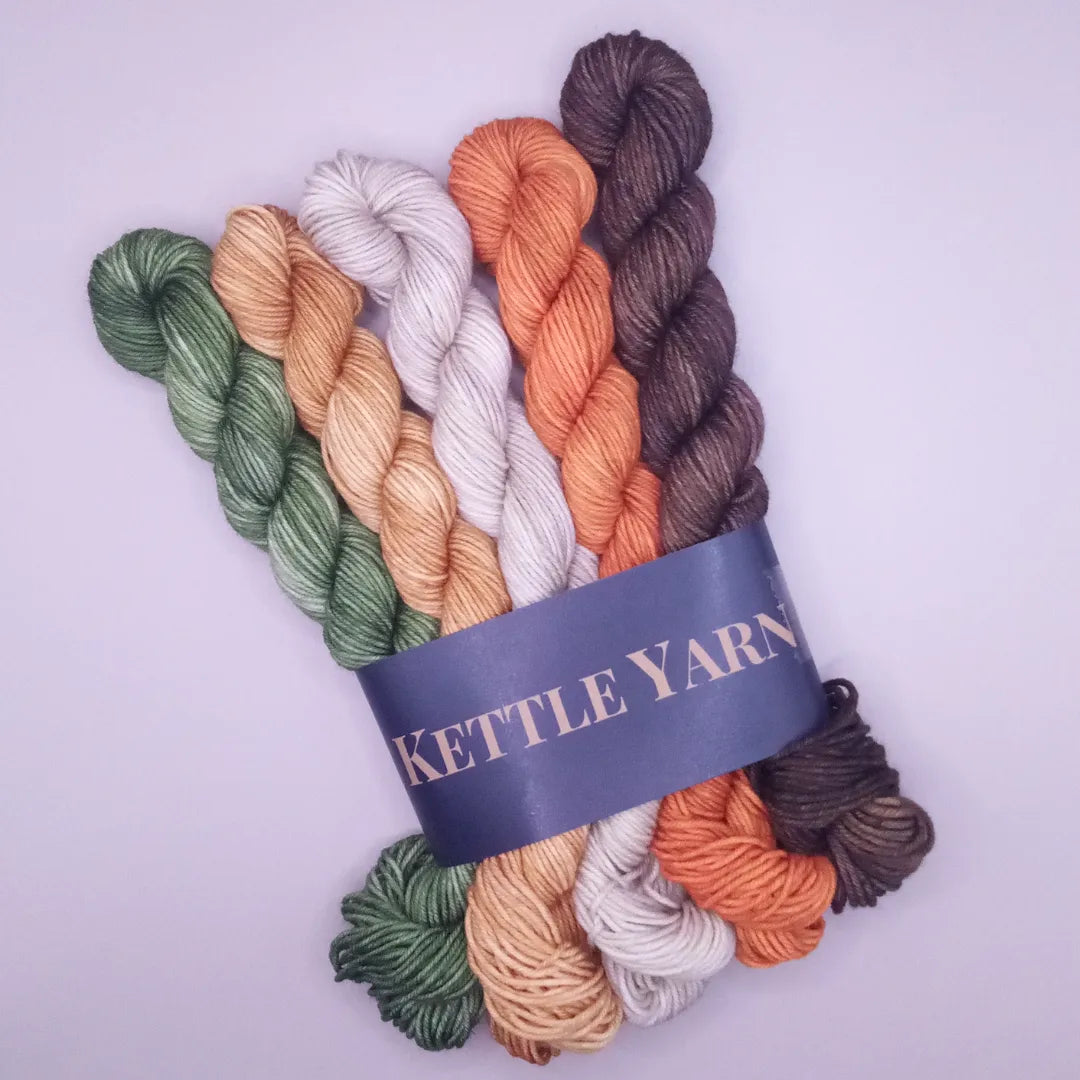 Pre order Fall into Autumn hand dyed mini skeins of yarn.  image 0