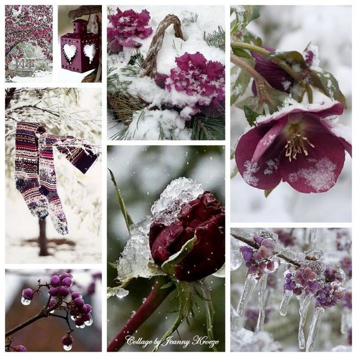Winter ~ Stitch boxes image 5