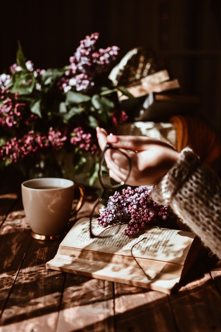 Hygge ~  Hand dyed yarn  image 2