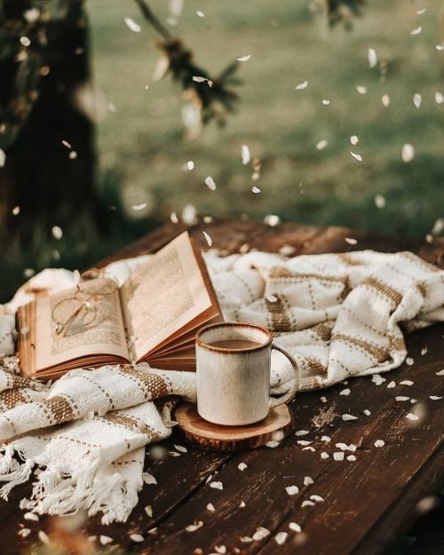 Hygge ~  Hand dyed yarn  image 3