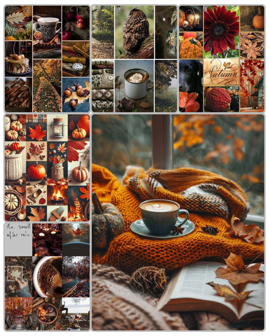 Autumn ~ Yarn box ~ Sock set image 0