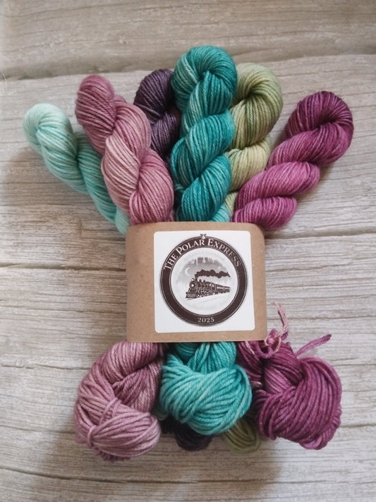 The Polar Express ~ When Christmas comes to town ~ Mini skeins