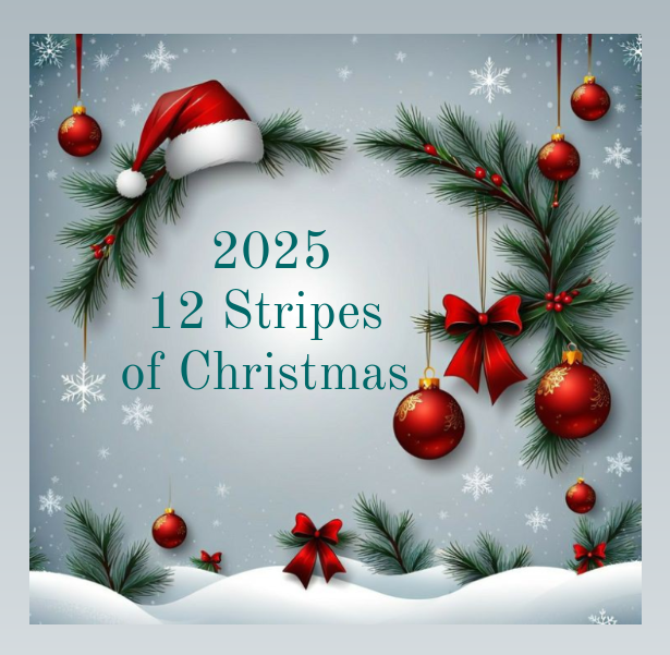 2025 ~ 12 Stripes of Christmas ~ Self Striping Sock Yarn  image 0