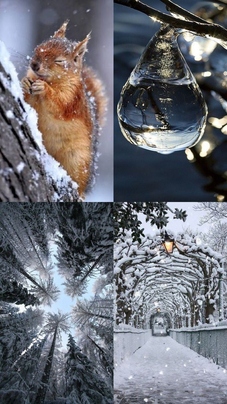    Winter Wonderland ~ Cosy Comfort ~ Yarn Box. image 1